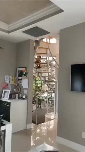 Discover the Unbelievable: Dog Sitting Like a Human | Dylan Anderson