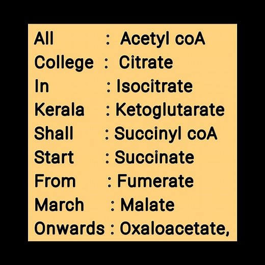 Easy trick to learn #Trichloroacetic acid (TCA) cycle/krebs cycle/citric acid cycle #medicalstudent