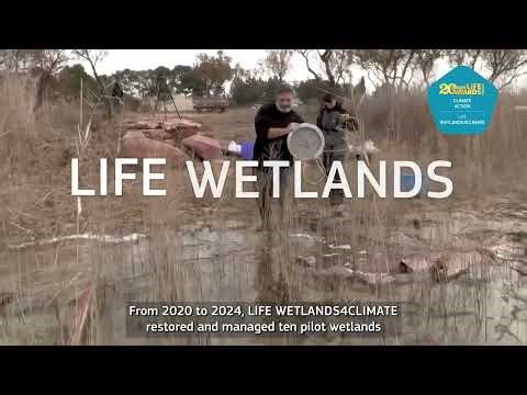 LIFE Awards 2026 I Climate Action: LIFE WetLands 4CLIMATE