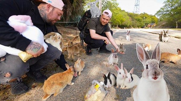 Bunny's Took Over This Japanese Island
