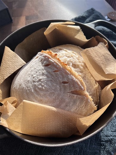 Mastering Sourdough Starter Basics in One Week