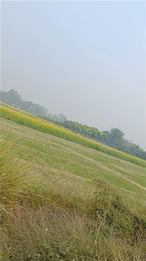 kya najara h 🥰🥰🥰👍👍👍👌👌👌👌#subscribe #love #song