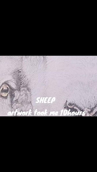 #painting #clivedaviesart #art 0#farming #pencil #gouache #syndicate #art #lydiawhittle #wildlife #sheep #farms #fields #olybloggs