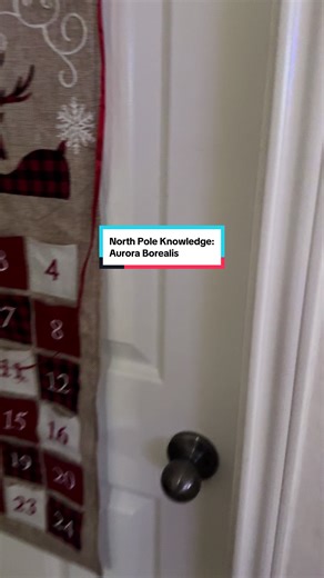 I'm not even lying... he spent an entire hour making different auroras glow in our bathroom. Mixing colors, using different temperature waters. Even my teen and toddler got in on the fun. #elfontheshelf #northpoleknowledge #curiosparkcollective #christmas science experiment learning elf magic