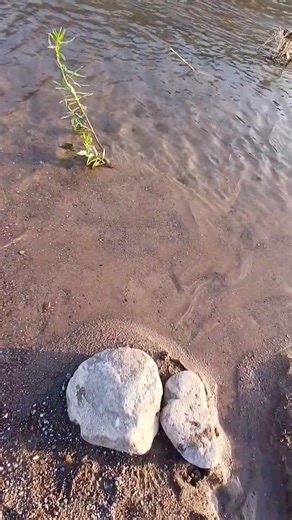 Guys check out this amazing place, clear water. Beautiful place