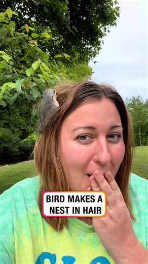 484K views · 4.9K reactions | I think the bird is trying to tell her something  | Lessons Learned In Life | Facebook
