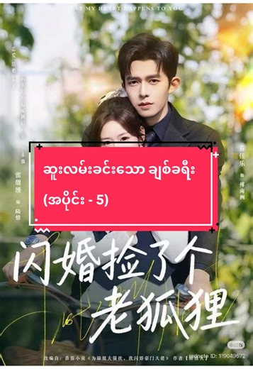 ဆူးလမ်းခင်းသော ချစ်ခရီး (အပိုင်း - ၅)