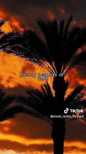 Outro by M83: Lyrical Edition Insights