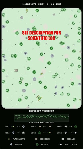 Kinetics of Flagellate Surges and Amoeboid Swarming Dynamics
