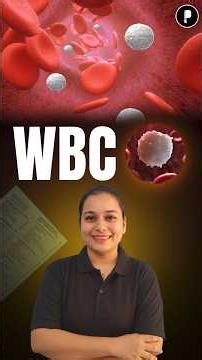 White Blood Cells (WBC) Explained: Functions, Types & Sizes 🩸