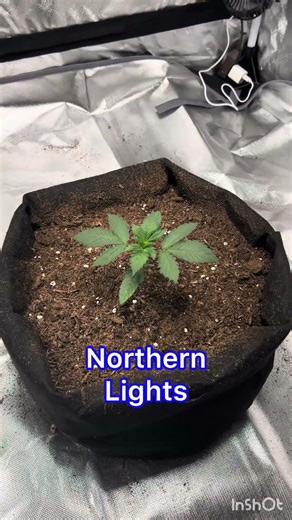 Views From The Farm | Daily Growth Tracker - 4.16.2026