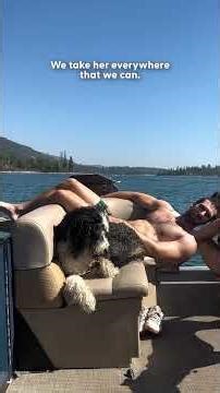 Dog Insists Her Dads Bring Her Everywhere They Go | The Dodo