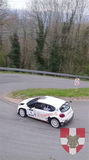 Vallons de Marciac-🇫🇷 #rally #drift #flatout #wrc #citroen #automobile #hairpin #DS3 #car #sports