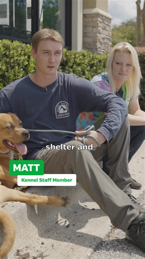 13K views · 53 reactions | In-store adoption events give rescue pets...