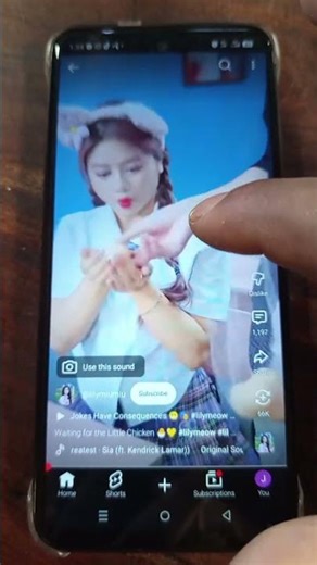 Waiting for the Little Chicken chicken little, dixie chicken (live at the rai #shortsfeed #trending