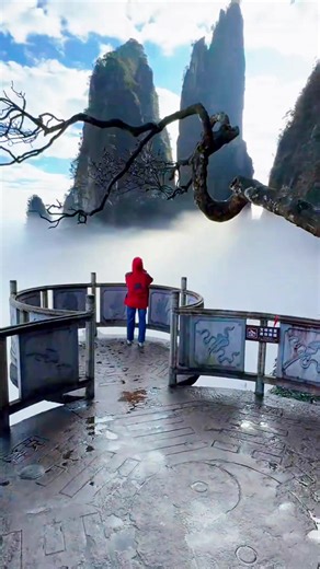 Welcome to the Heavenly Palace of the Fairyland #fyp #travel #explore #mountains #莽山五指峰景区