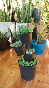 Vertical Gardening Made Easy: DIY 4-Tier Mini Tower Planter for Small Spaces | Flower lovers