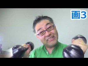 PowerDirector 16 - 逆光 エフェクト集「スタイル」