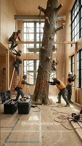 They Built a Real Tree Inside This House - The Final Result Is Unreal