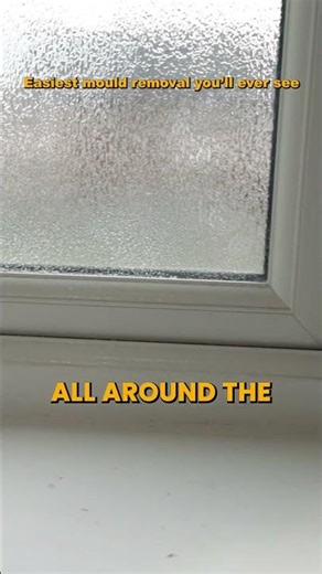 Dortech Direct Mould Remover: Instant Results on Window Seals