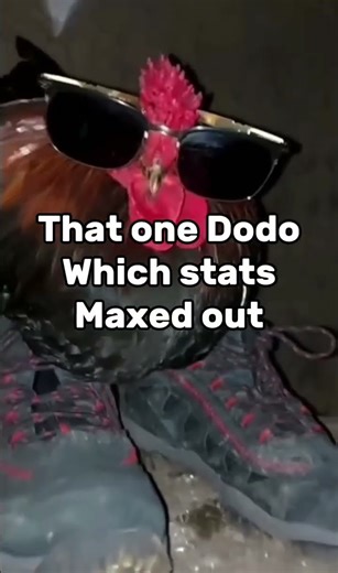 That one Dodo with stats maxed out in ARK : Survival Ascended !