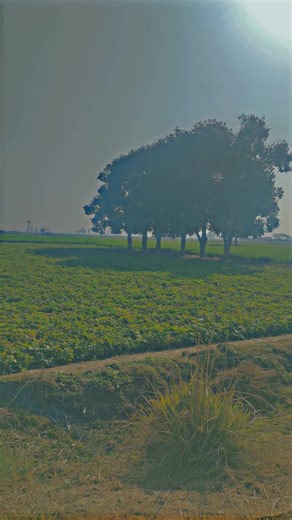 Exploring the Beauty of Farming and Nature