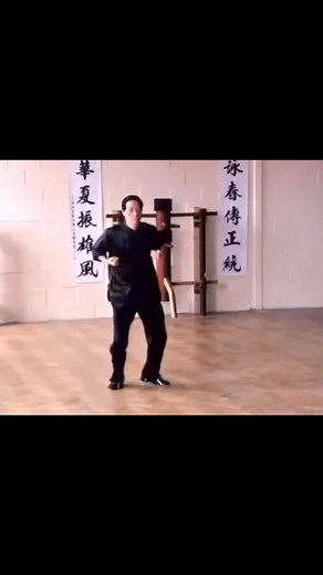 81K views · 3.3K reactions | IP MAN WING CHUN BIU GEE FORM wing Chun...