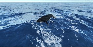Unity 海を作ってクジラを泳がし、操作してみよう！　初心者編19