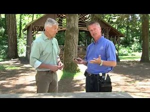 Whites Pin Pointer BullsEye