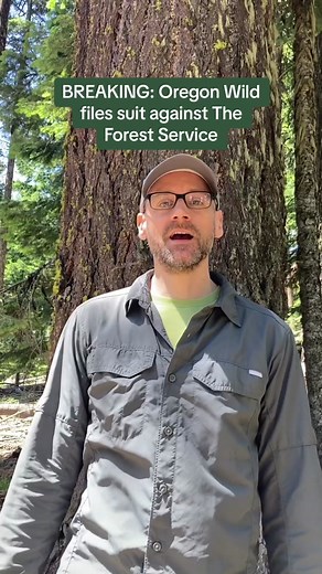 BREAKING: Oregon Wild files suit against @u.s.forestservice over The Grasshopper Project near Mt. Hood. Today, Oregon Wild challenged the Forest Service’s plan to log over 5,000 acres of the Mt. Hood National Forest directly south of the Badger Creek Wilderness. The Grasshopper Project would remove 4,000 logging trucks full of trees from this unique transition zone along the Cascade Crest—including mature and old-growth trees. #oregon #conservation #logging #endangeredspecies #forests #climateac