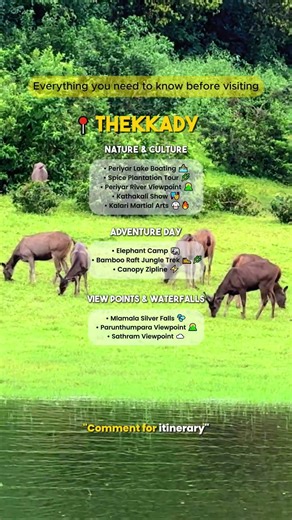 ❤️ Places to visit in Thekkady, Kerala😍| Complete Guide