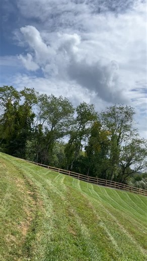 Father and son Lawn care (@fatherandsonlawncare)’s videos with sonido original - 𝐉𝐀𝐒𝐒𝐄𝐑 𝐌𝐎𝐑𝐀𝐋𝐄𝐒🦅