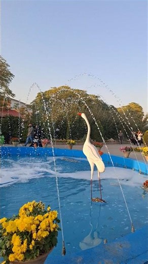 Magical Fountain Pool – Cute Fish Statues & Garden Beauty