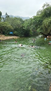 1M views · 10K reactions | Nature gifted purest water pool... Location...! . . . . . . . Tada forest, Chittoor, Andhra Pradesh... #falls #tada #chittoor #travel #nature #explore #weekend #trip #traveler #naturelover #explorer #weekendtrip #onedaytrip #friendstrip #familytrip #naturelove #travelling #journey #baskitherover #lifeofbaski #meyaadhamaan #travelwithbaski | Baskar Durai | Facebook