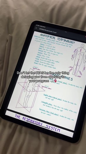 This study guide has helped so many students pass the ati teas, including me with 93.3%!! 💗 If you’re prepping for the TEAS 7 and don’t know where to start, start here and stay consistent!! Iinked in bio 💌🔗 #futurern #studytok #atiteas #nursingstudent #anatomynotes
