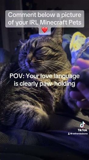 IRL Minecraft pet always by my side on the adventures #minecraft #shorts #cat #gaming