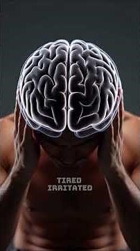 Why Is Water So Important for the Brain?