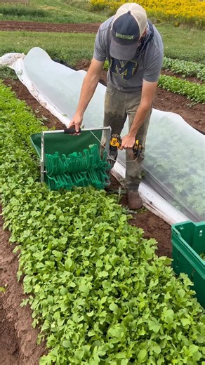 We didn’t become faster by hustling harder. We became faster by changing how the work flowed. The Quick Cut Greens Harvester turned one of our slowest jobs into a simple five-minute system. That single shift transformed bagged greens into one of the most profitable crops on our farm. Faster harvesting meant: ✅ More bags packed ✅ More product on the table ✅ More consistency week after week ✅ More money staying in our pocket Speed isn’t about rushing. It’s about removing the bottlenecks that quiet