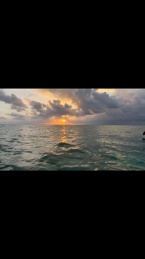 19K views · 614 reactions | Top 5 TIPS…..How to get the Ocean Walker...