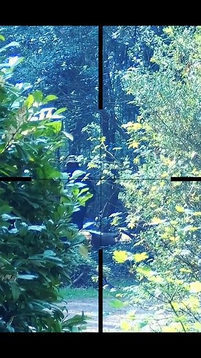 #cleanshot #airsoft #fyp #foryou #foryoupage