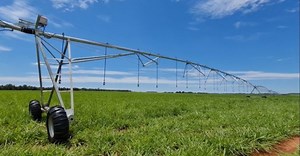 Irrigação de pastagem: confira as melhores tecnologias para a sua fazenda