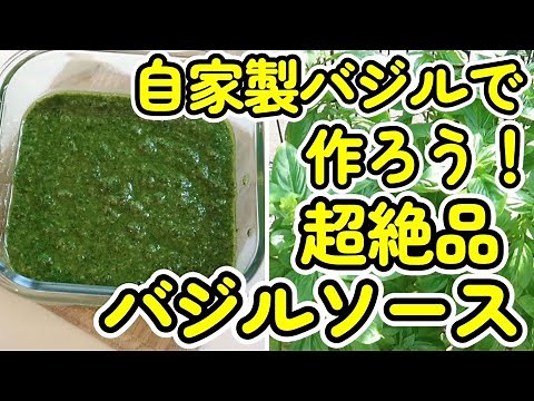 A super delicious recipe made with homemade basil! How to make authentic basil sauce♪ I've made i...