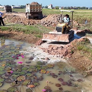 Amazing Working Dozer Starting Perfect PROJECT!! Delete Water by Dump Trucks 5-T Overloading Dirt | BulldozeR PoweR