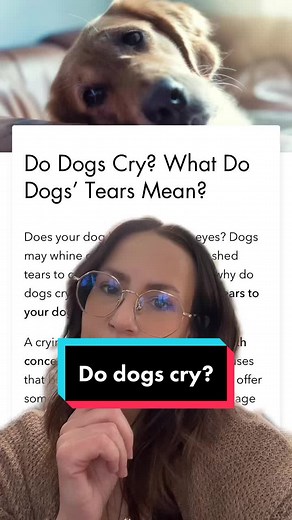 Dope Dog on TikTok