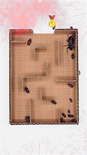 HUNDREDS of Pill Bugs! 🏁 Who wins the race? 🏆