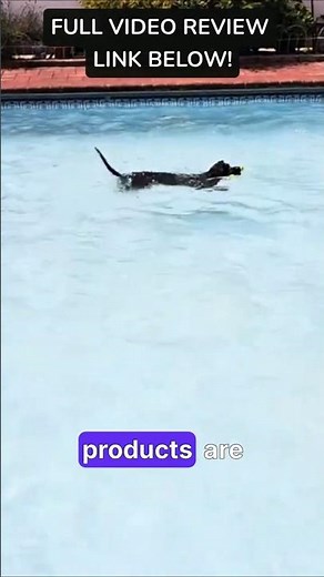 The Ultimate Floating Fetch Dog Toy Test : Will It Survive?