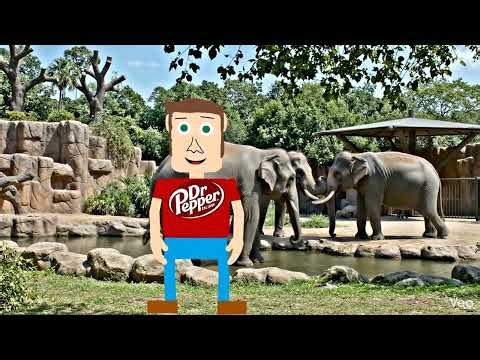 Matt At The Zoo (42826C)