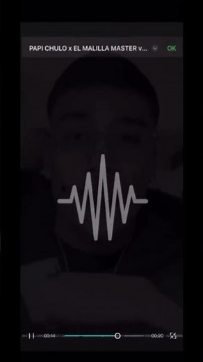 papi chulo (remix) con el malilla