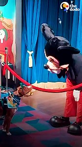 This dog is in love with Mickey Mouse, and gets completely star-struck when she meets him in person 🤩❤️ | The Dodo