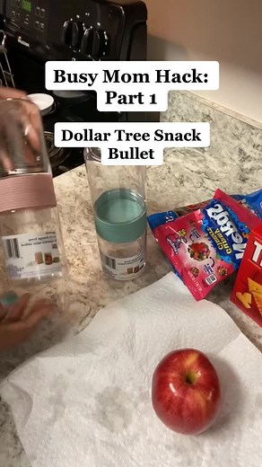Busy Mom Dollar Tree Snack Container Hack